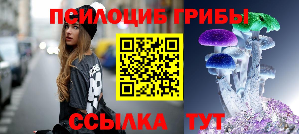 купить наркотик  Вход с VPN  Гулькевичи  Галлюциногенные грибы прущие грибы 